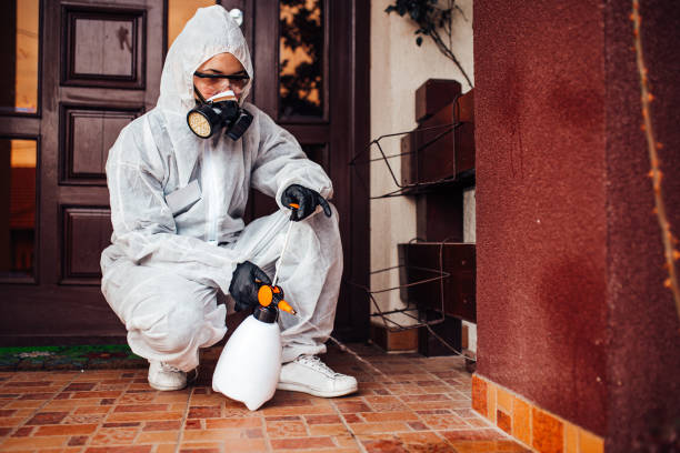 Reliable Bed Bug Control contractor in Trabuco Canyon, CA by Nex Pest Control