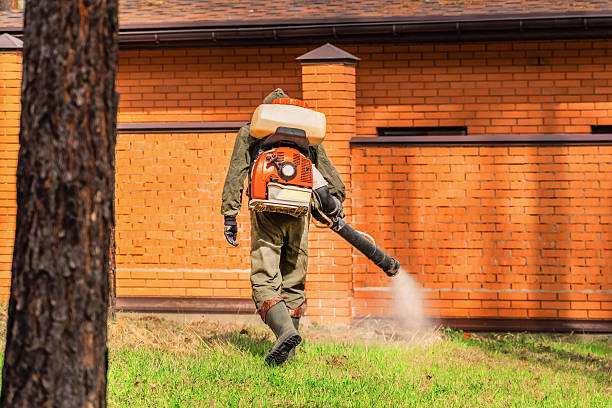 Trusted Termite Control service in Trabuco Canyon, CA - Nex Pest Control